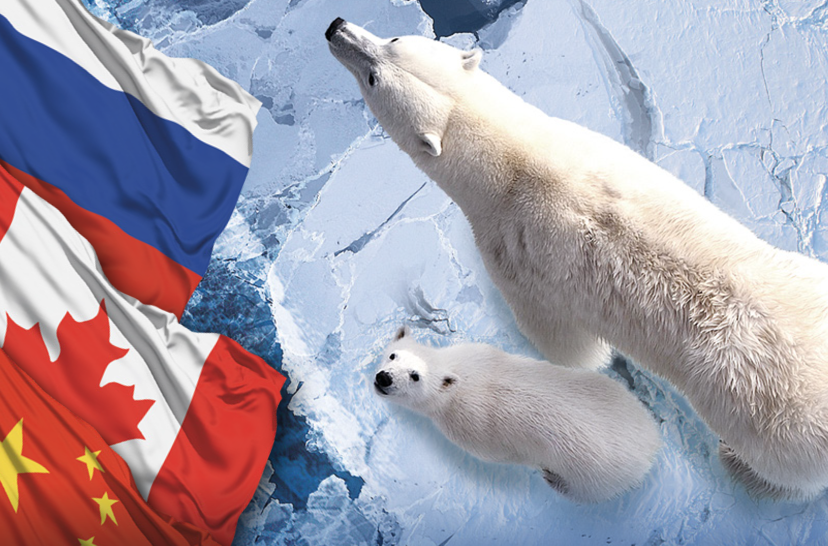 Arctic Narratives and Political Values. Russia, China and Canada in the High North